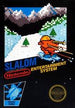 Slalom [5 Screw] | (Loose - Good) (NES) (Game)
